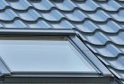 Black Snakeskylight-replacements.jpg; ?>